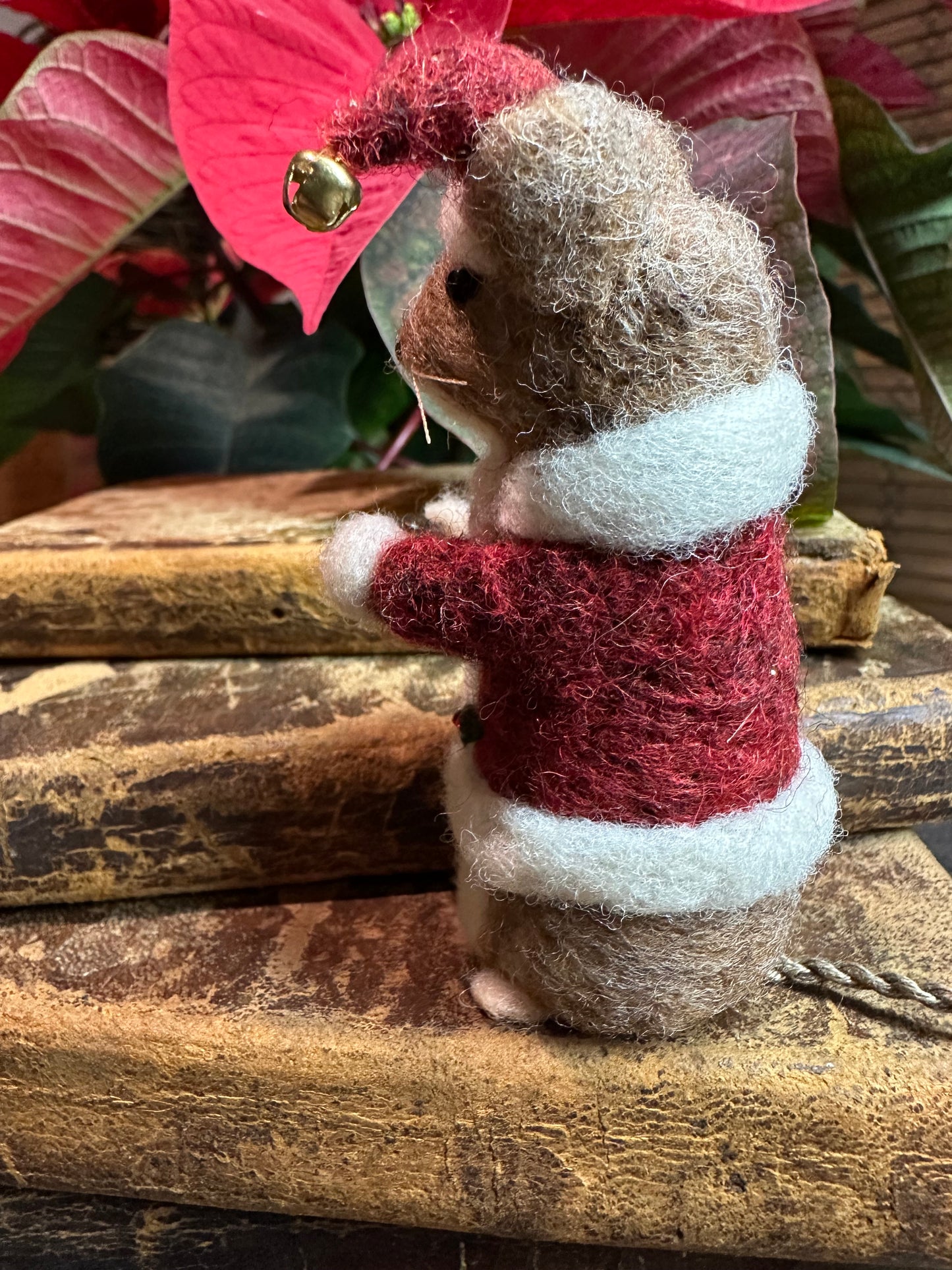 “Little Santa” by Lily & Oak